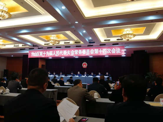 代表参加区第十九届人大常委会第十四次会议