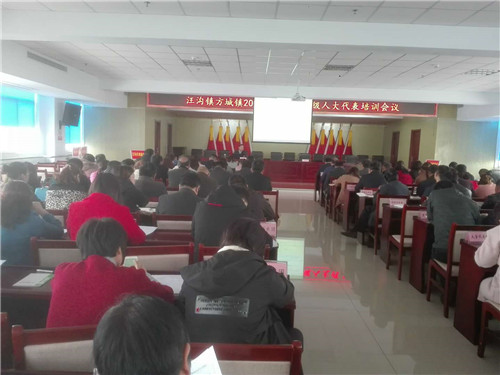 代表们正在认真学习