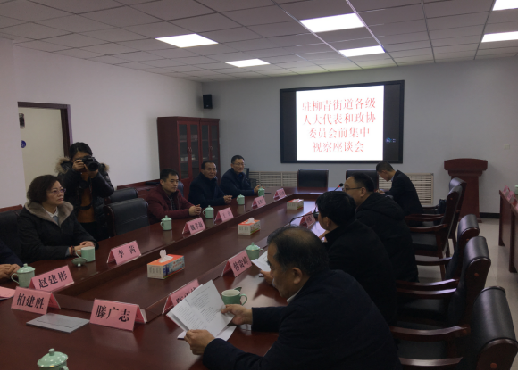 人大代表和政协委员会前集中视察活动
