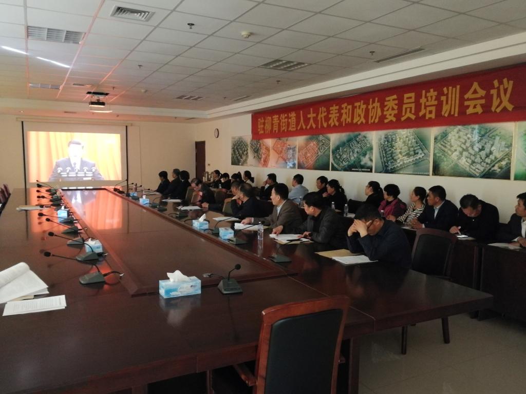 代表委员在认真收看习近平总书记的讲话