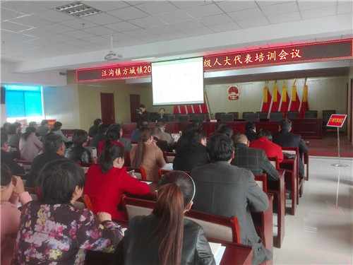 代表们正在认真学习