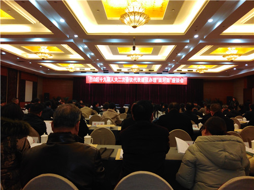 组织代表参加区十九届二次会议代表建议办理面对面座谈会
